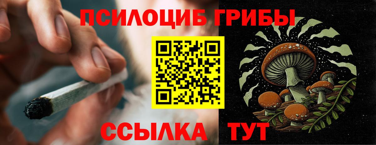 Галлюциногенные грибы мухоморы Губаха